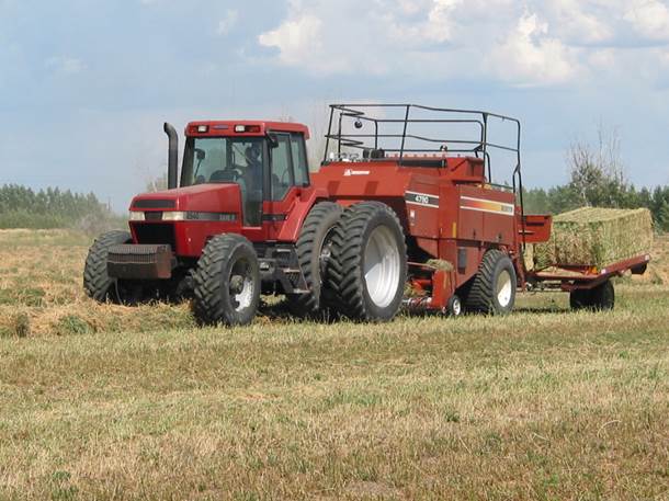 Crop and soil